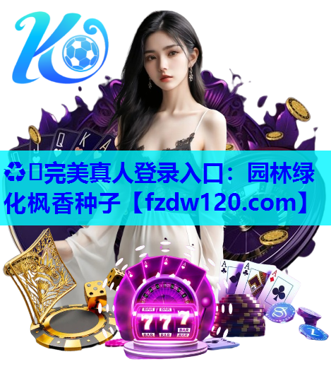 园林绿化枫香种子