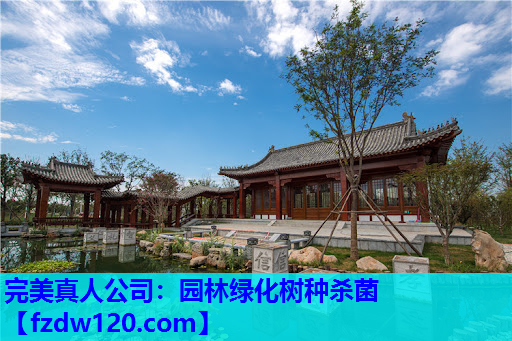 园林绿化树种杀菌