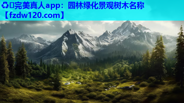 园林绿化景观树木名称