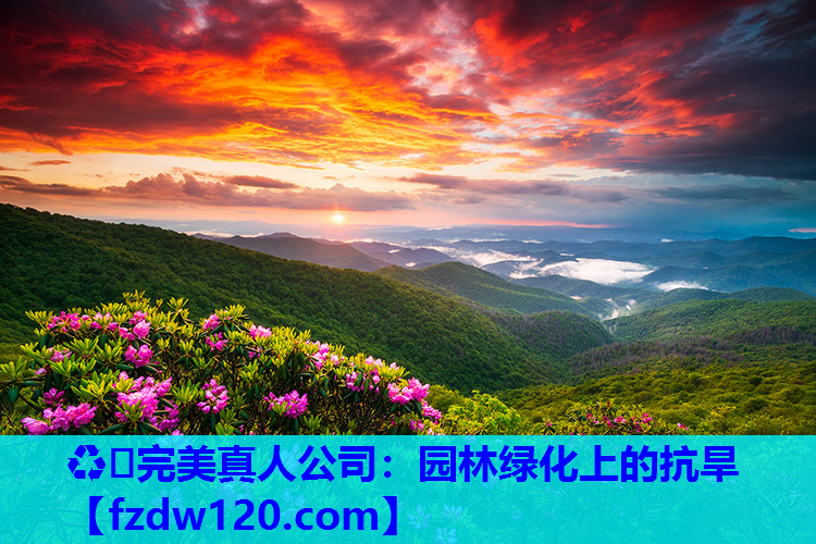 园林绿化上的抗旱