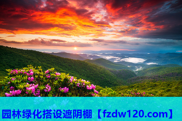 园林绿化搭设遮阴棚