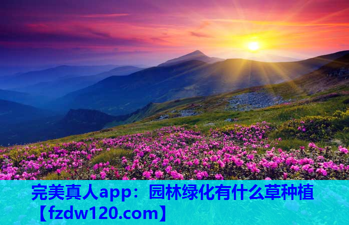 园林绿化有什么草种植