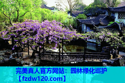 园林绿化巡护