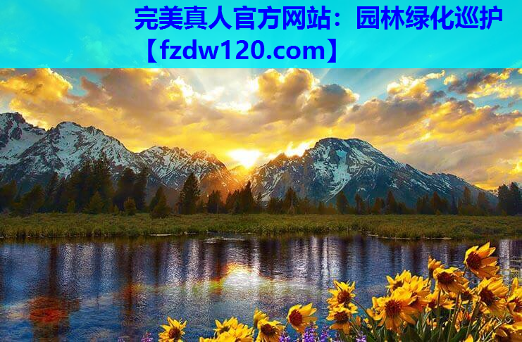园林绿化巡护