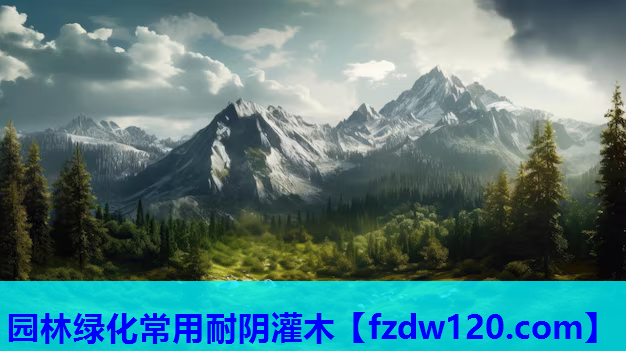 园林绿化常用耐阴灌木
