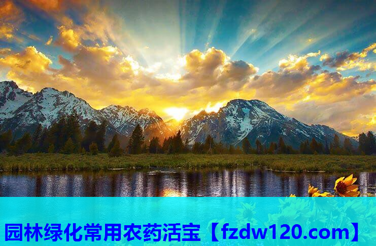 园林绿化常用农药活宝