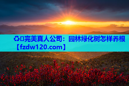 园林绿化树怎样养根