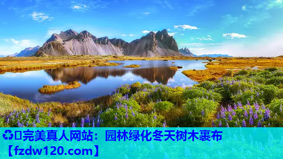 园林绿化冬天树木裹布
