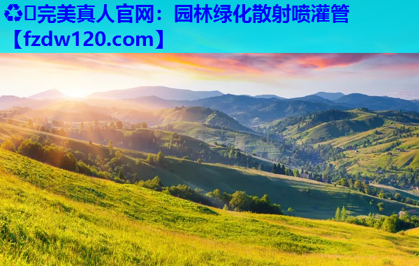 园林绿化散射喷灌管