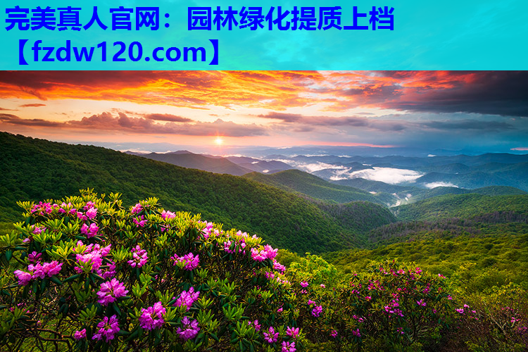 园林绿化提质上档
