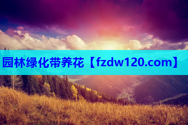 园林绿化带养花