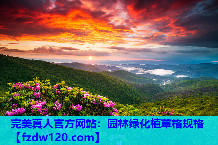 园林绿化植草格规格