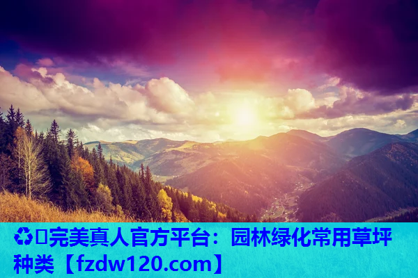 园林绿化常用草坪种类