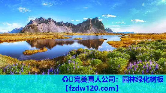 园林绿化树板
