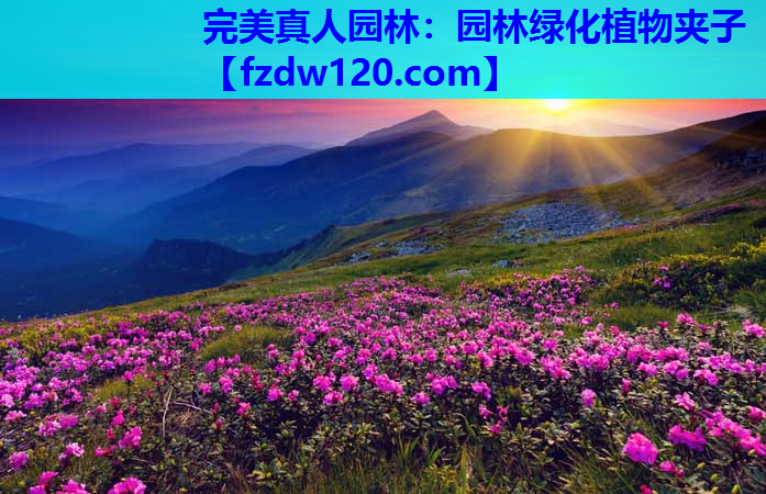 园林绿化植物夹子