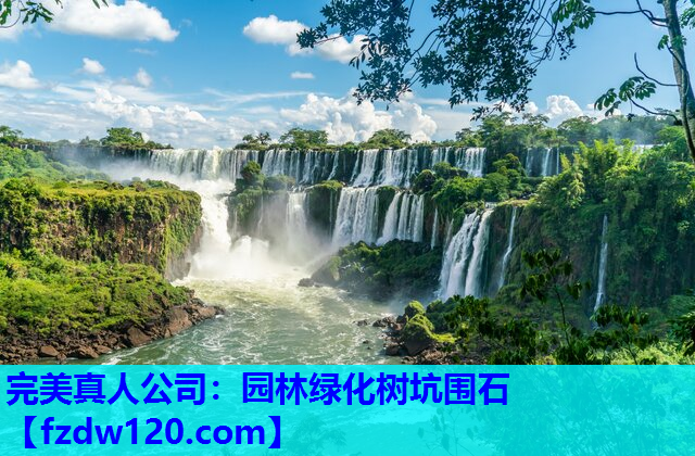 园林绿化树坑围石