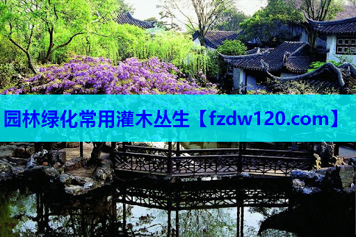 园林绿化常用灌木丛生