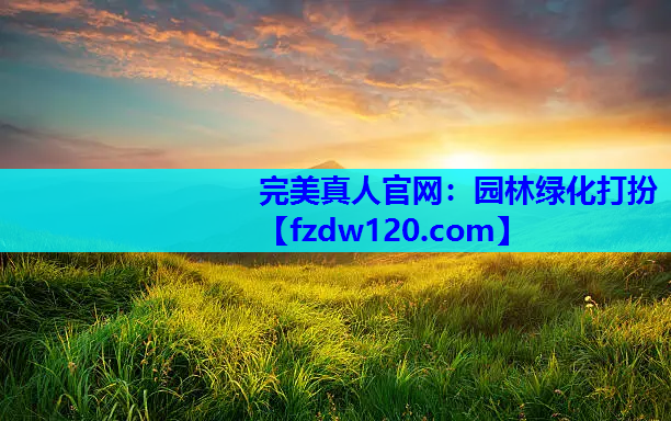 园林绿化打扮