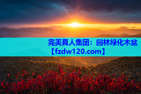 园林绿化木盆