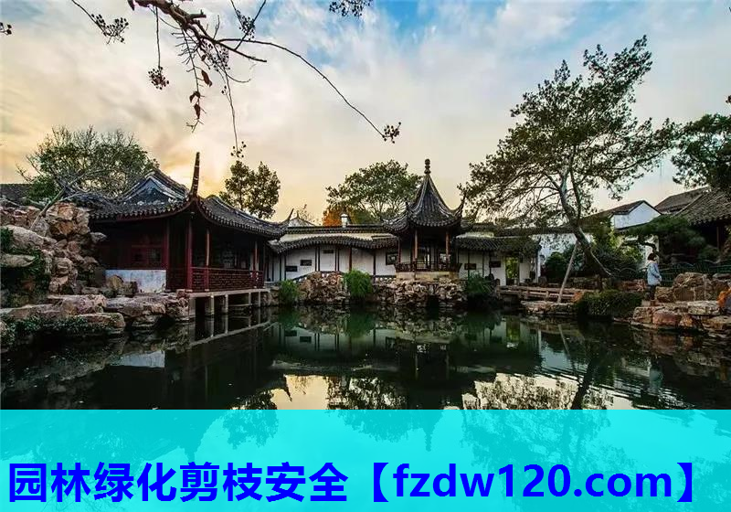 园林绿化剪枝安全