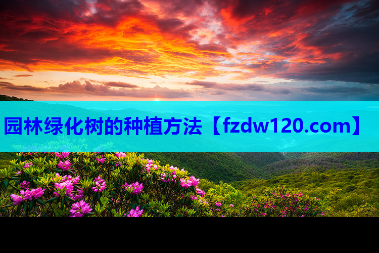 园林绿化树的种植方法