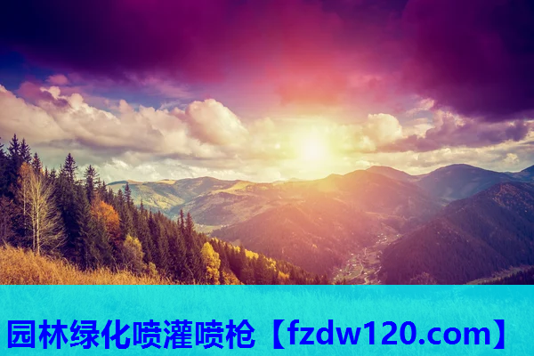 园林绿化喷灌喷枪