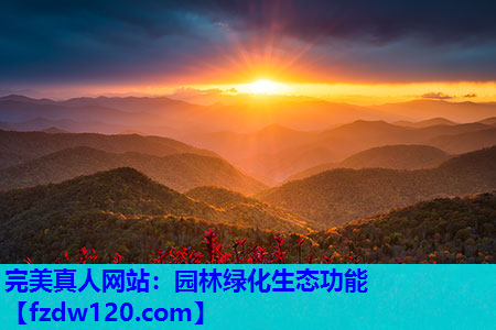 园林绿化生态功能