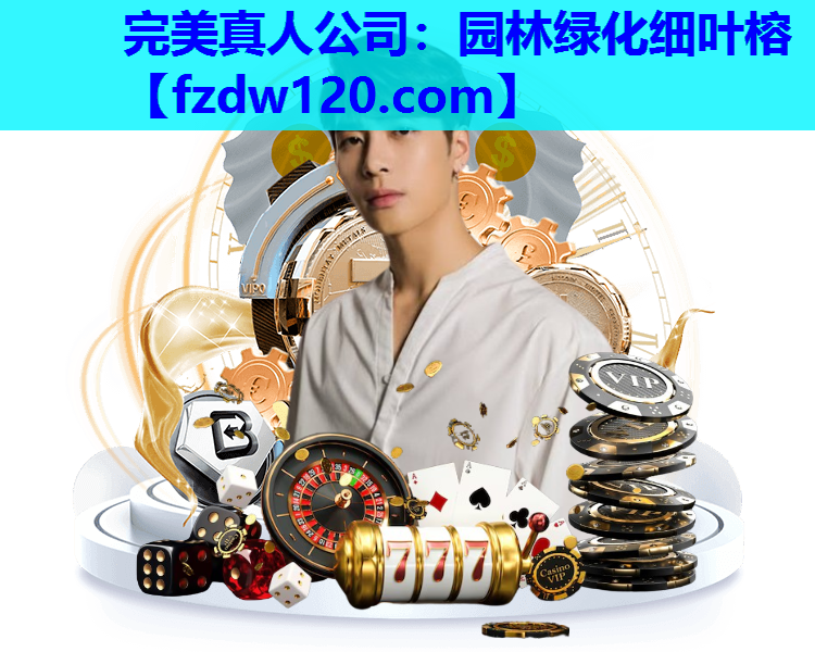园林绿化细叶榕