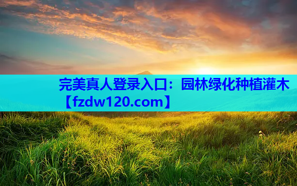 园林绿化种植灌木