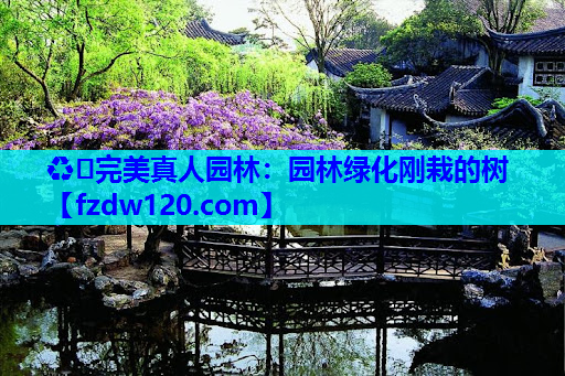 园林绿化刚栽的树