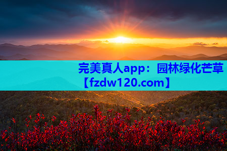 园林绿化芒草