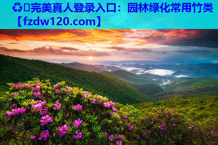 园林绿化常用竹类