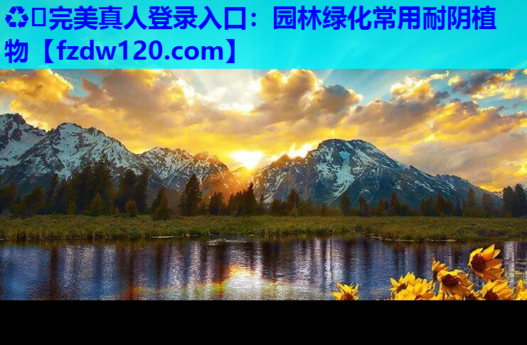 园林绿化常用耐阴植物