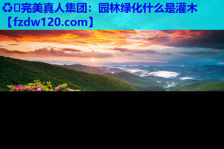 园林绿化什么是灌木
