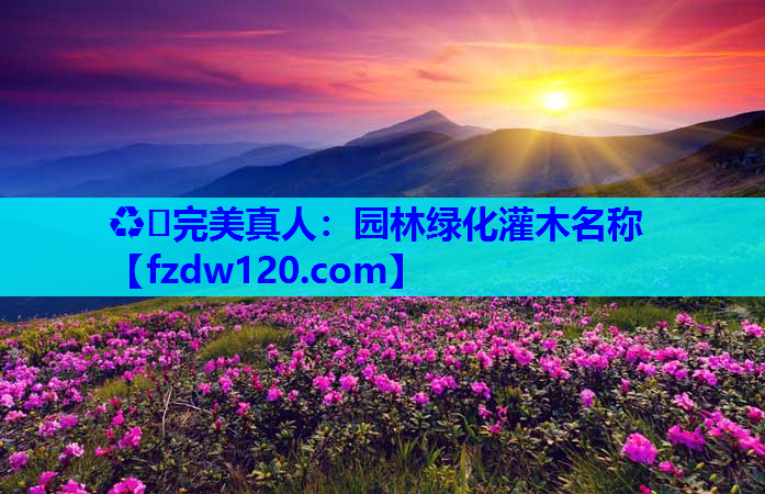 园林绿化灌木名称