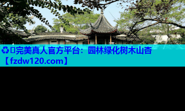 园林绿化树木山杏
