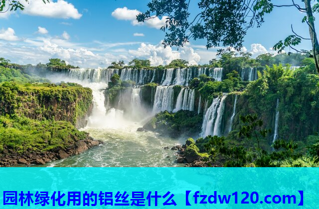 园林绿化用的铝丝是什么