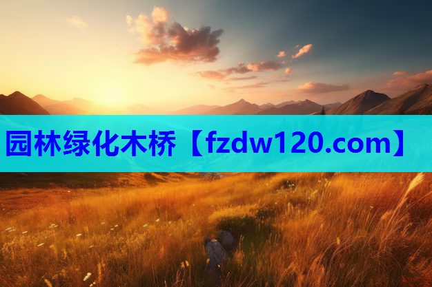 园林绿化木桥