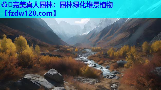 园林绿化堆景植物