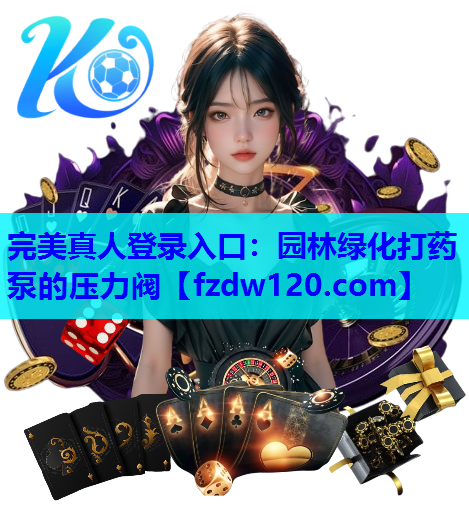 园林绿化打药泵的压力阀