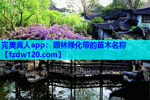 园林绿化带的苗木名称