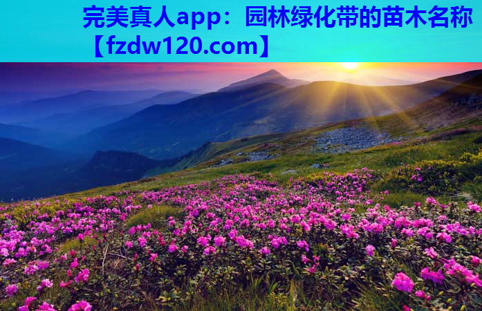 园林绿化带的苗木名称