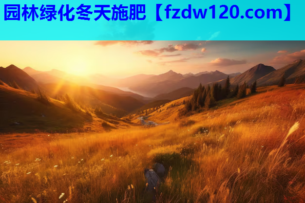 园林绿化冬天施肥