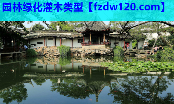 园林绿化灌木类型