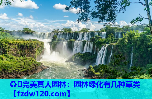 园林绿化有几种草类 园林绿化有几种草类