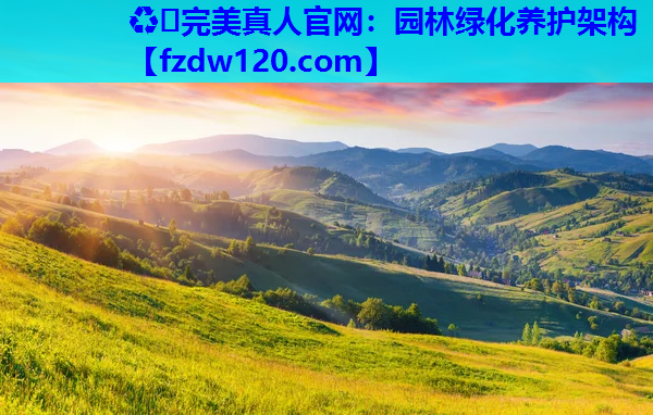 园林绿化养护架构