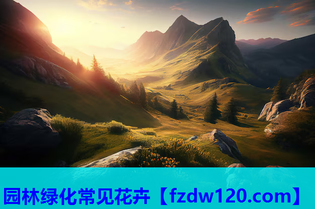 园林绿化常见花卉