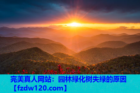 园林绿化树失绿的原因