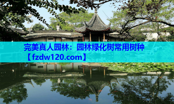 园林绿化树常用树种