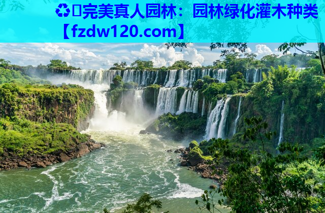 园林绿化灌木种类